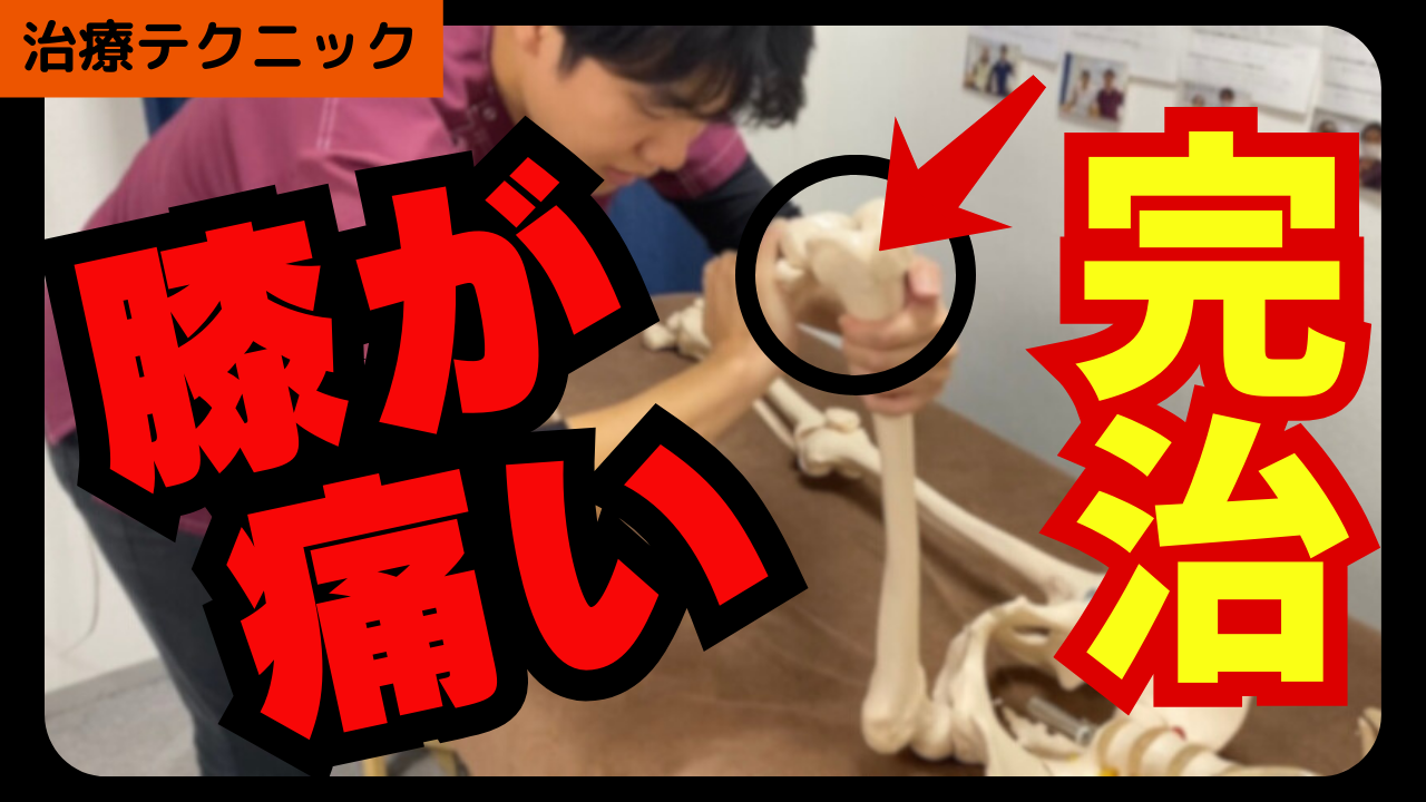 膝の痛みを完治させてスイスイ歩けるようになる脛骨大腿関節の矯正テクニック！！